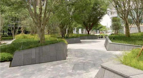 植物景觀丨這些樹種出來的藝術(shù)