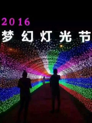 光影賦能，點亮景區新視界 探訪大型燈光藝術產品的制作、租售與景觀藝術融合